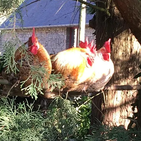 Holiday home La Gilberdiere